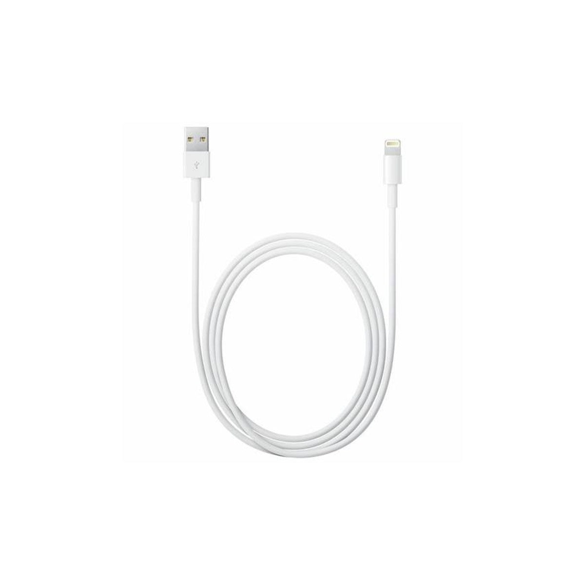 Apple Lightning A USB 2M