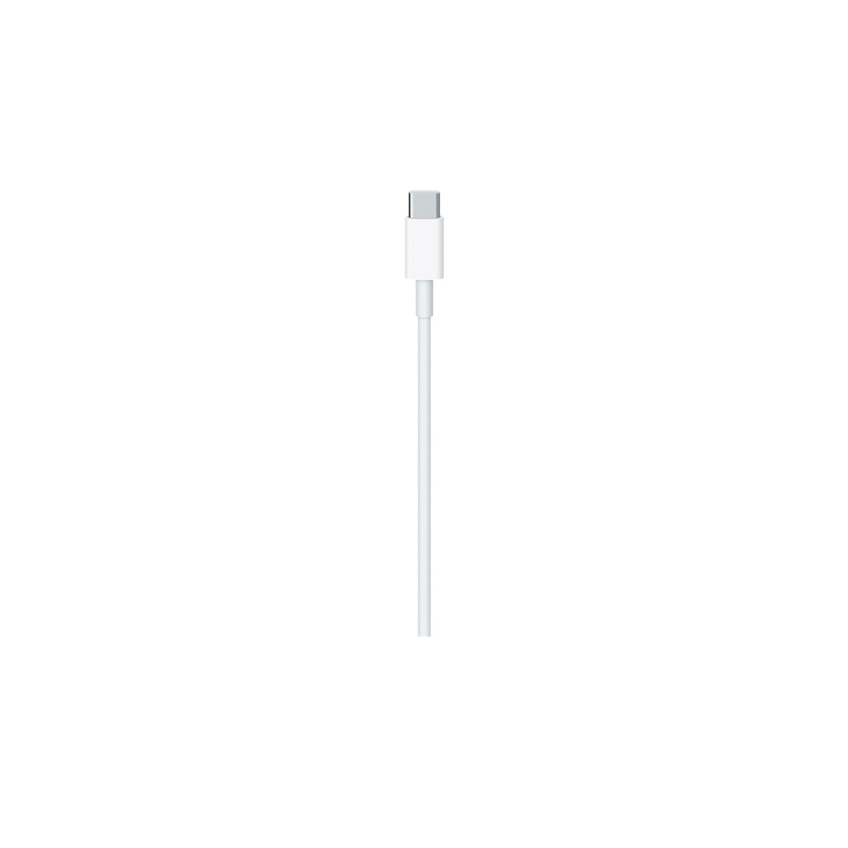 60W Charge Cable (1M)